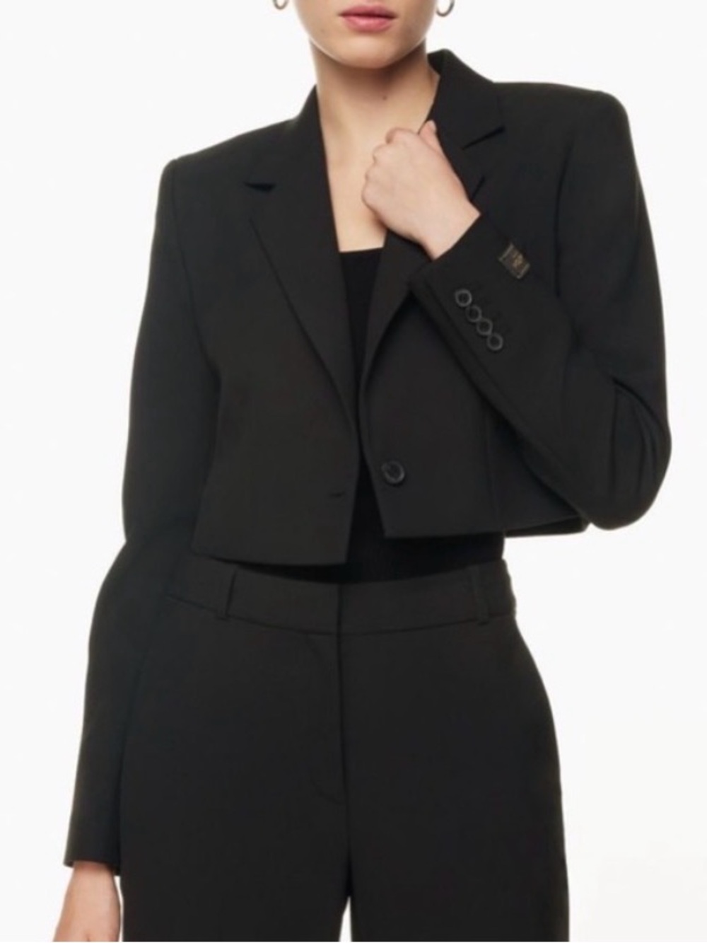 Babaton Aritzia Samuel Cropped Blazer Black 2XS